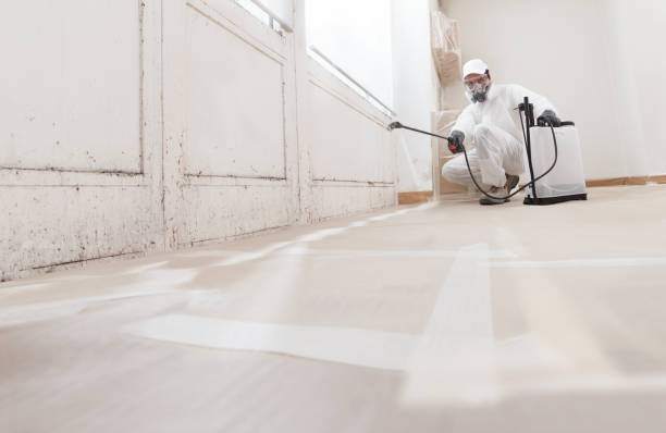 24/7 Emergency Mold Remediation experts in Bellevue, IL
