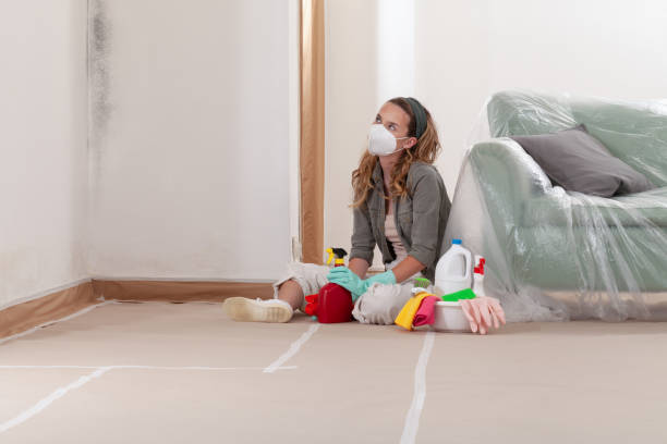 Reliable Mold Remediation contractor in Bellevue, IL by Mold Remediation HQ